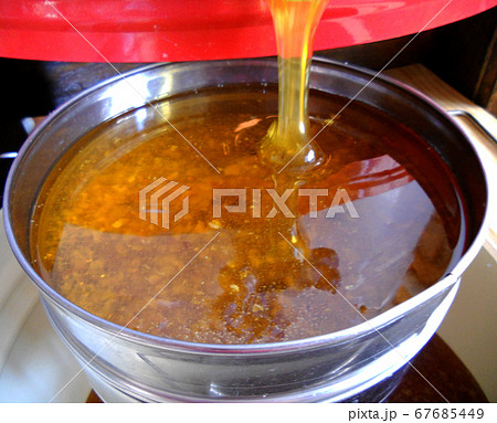 Background texture, dropping drops of sweet honey 67685449