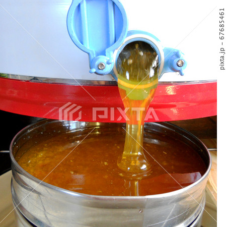 Background texture, dropping drops of sweet honey Background texture, dropping drops of sweet honey 67685461