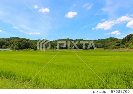 下原地区の田園風景 67685700
