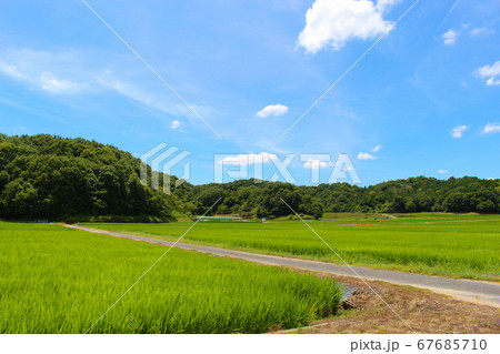 下原地区の田園風景 67685710