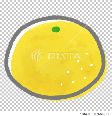 水彩風グレープフルーツのイラストのイラスト素材