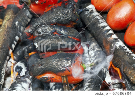 vegetables tomatoes and peppers vegetables tomatoes and peppers 67686304