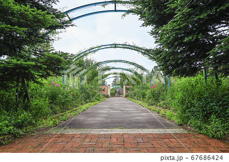 ガーデンミュージアム比叡 夏の草花の写真素材