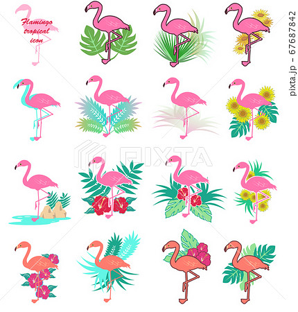 Set Of Flamingo Tropical Icons Stock Illustration