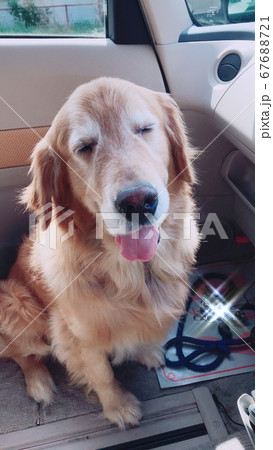 これからニコニコドライブシートには乗りません 67688721