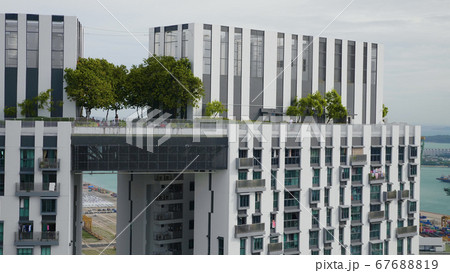 Amazing Rooftop Garden 67688819