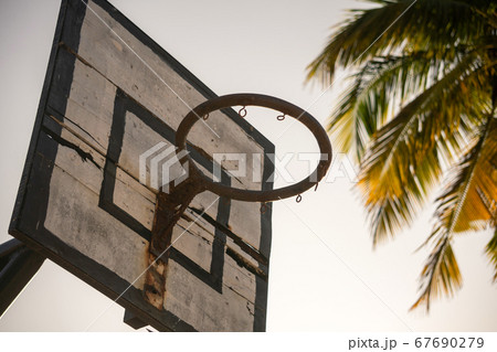 Basker for Playing Basketball against the Palm Tree Branch. Basketball in Paradise Basker for Playing Basketball against the Palm Tree Branch. Basketball in Paradise 67690279