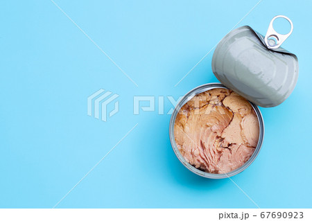 Canned tuna fish on blue background. Canned tuna fish on blue background. 67690923