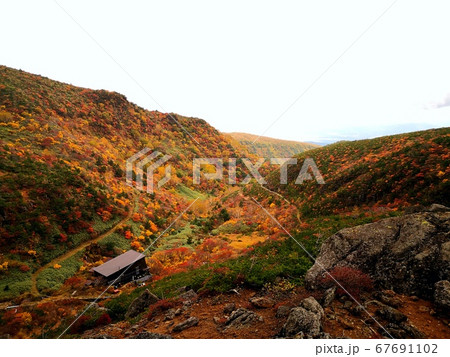 百名山安達太良山くろがね小屋の紅葉 67691102