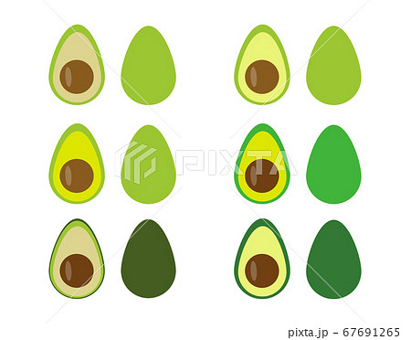 Whole and cut avocado fruit set in flat style Whole and cut avocado fruit set in flat style 67691265