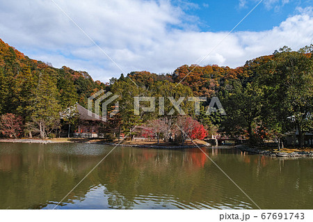 福島県/ 国宝 白水阿弥陀堂 浄土式庭園の紅葉 67691743