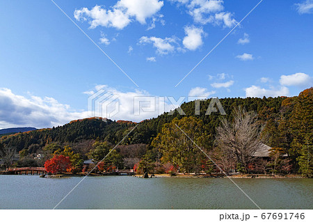 福島県/ 国宝 白水阿弥陀堂 浄土式庭園の紅葉 67691746