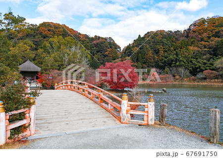 福島県/ 国宝 白水阿弥陀堂 浄土式庭園の紅葉 67691750