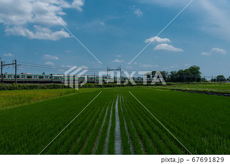 JR宇都宮線E233系　鉄道風景写真 67691829