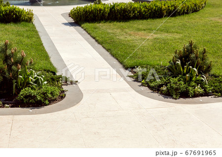 marble stone walking path and stone edge with lawn green grass and pine plantations and bushes on a sunny spring day. marble stone walking path and stone edge with lawn green grass and pine plantations and bushes on a sunny spring day. 67691965