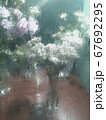 Flowers in beautiful style on transparent background. Beautiful realistic reflection. Modern pattern 67692295