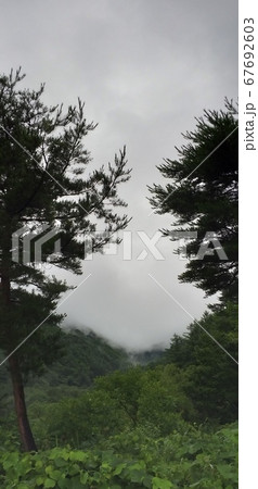 自然 樹木 景色 67692603