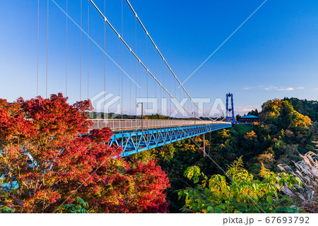 茨城県 竜神大吊橋 紅葉の写真素材