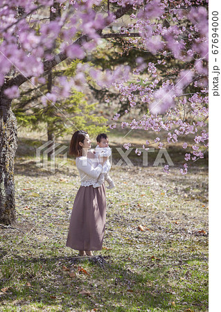 桜の木の下で遊ぶ家族 67694000