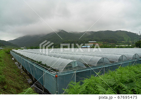 南原市 智異山 韓国 67695475