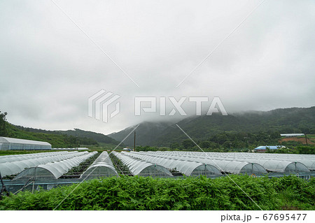 南原市 智異山 韓国 67695477