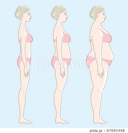 白い肌の女性の側面全身図 やせ 中肉 肥満の比較 ダイエット メタボ 健康 美容のイメージ のイラスト素材