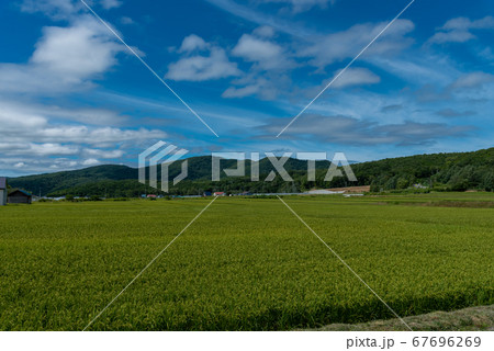 北海道　駒ヶ岳山麓 67696269