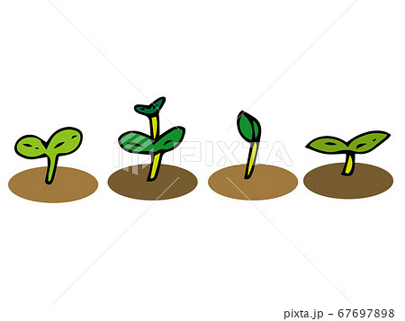 いろいろな芽 67697898