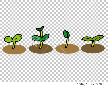 Various buds Various buds 67697898