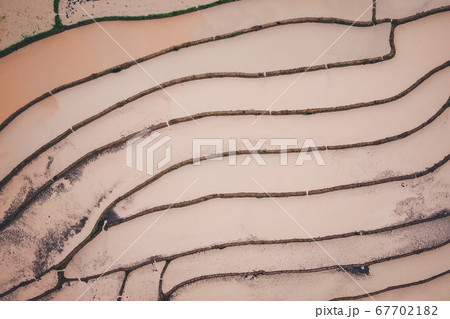 Rice fields Water in rice fields before planting 67702182