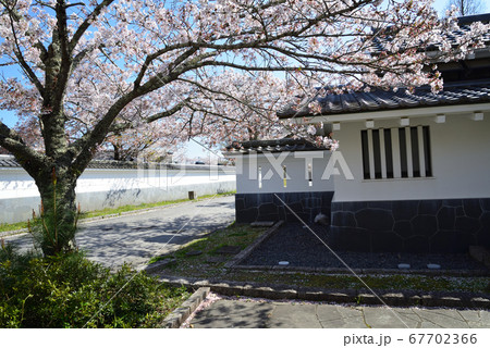松岡城址公園へ行きました　　＃70 67702366