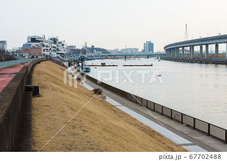 中川　河川敷　江戸川区　2018年2月撮影 67702488
