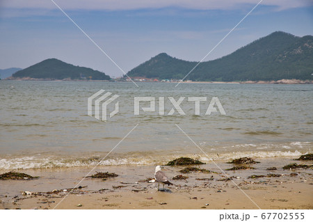 海岸 浜 風景 67702555