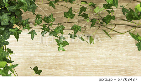 植物と木目の背景素材。アイビーのフレーム素材 植物と木目の背景素材。アイビーのフレーム素材 67703437