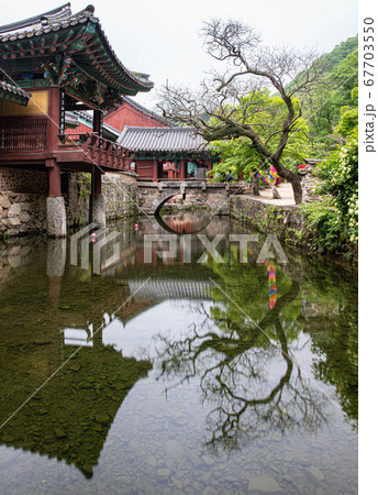 景色 風景 韓国 67703550