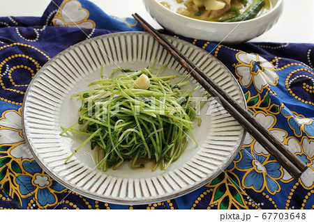 エスニック料理の豆苗とニンニク炒めの写真素材