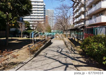 木場親水公園 2018年2月撮影 木場親水公園 2018年2月撮影 67704034