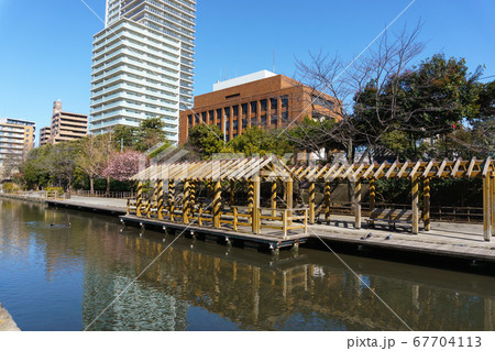 木場親水公園 2018年2月撮影 木場親水公園 2018年2月撮影 67704113