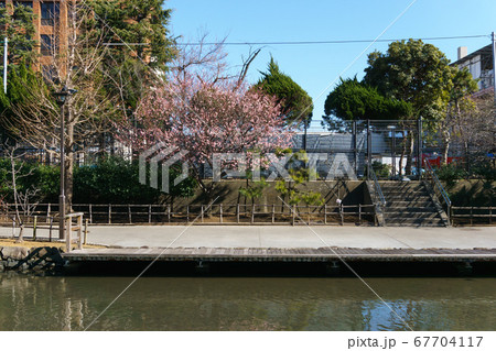 木場親水公園　2018年2月撮影 67704117