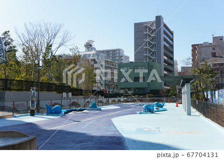 木場親水公園　2018年2月撮影 67704131