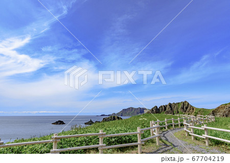 北海道 礼文島・澄海岬 北海道 礼文島・澄海岬 67704219