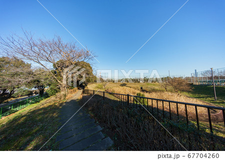 夢の島公園 2018年1月撮影 夢の島公園 2018年1月撮影 67704260