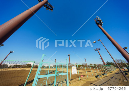 夢の島公園 2018年1月撮影 夢の島公園 2018年1月撮影 67704266