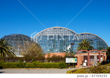 夢の島公園　2018年1月撮影 67704293