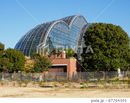 夢の島公園 2018年1月撮影 夢の島公園 2018年1月撮影 67704305