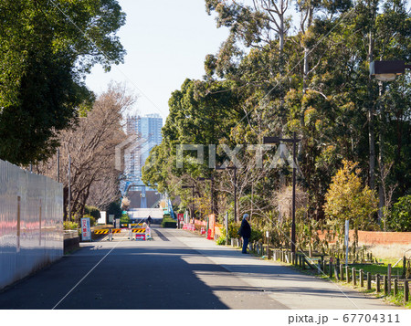 夢の島公園　2018年1月撮影 67704311