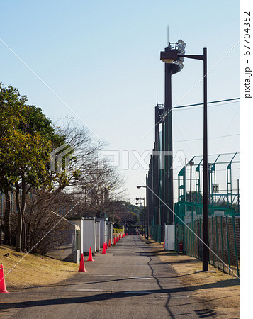 夢の島公園 2018年1月撮影 夢の島公園 2018年1月撮影 67704352