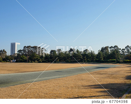 夢の島公園 2018年1月撮影 夢の島公園 2018年1月撮影 67704398