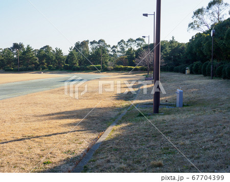 夢の島公園　2018年1月撮影 67704399