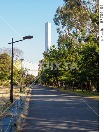 夢の島公園 2018年1月撮影 夢の島公園 2018年1月撮影 67704404